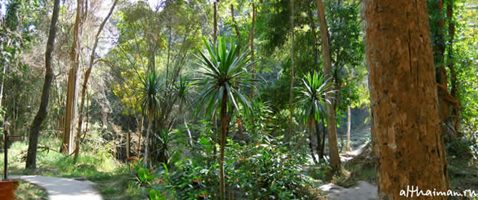 ВОДОПАД МЕ СА_CHIANG MAI NORTH THAILAND HOTELS HOSTELS RESORTS BUNGALOWS_ ЧИАНГ МАЙ ЧАНГ МЕЙ СЕВЕРНЫЙ ТАИЛАНД_MAE SA  WATERFALL