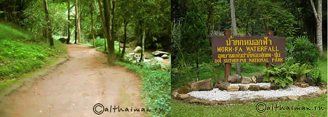 ВОДОПАД МОРК ФА_CHIANG MAI NORTH THAILAND HOTELS HOSTELS RESORTS BUNGALOWS_ ЧИАНГ МАЙ ЧАНГ МЕЙ СЕВЕРНЫЙ ТАИЛАНД_MORK FA  WATERFALL
