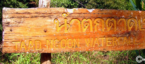HUAY KAEW WATERFALL LAM NAM KOK NATIONAL PARK THAILAND CHIANG RAI ЧИАНГ РАЙ ЧАНГ РАЙ СЕВЕРНЫЙ ТАИЛАНД НАЦИОНАЛЬНЫЙ ПАРК ЛАМ НАМ КОК