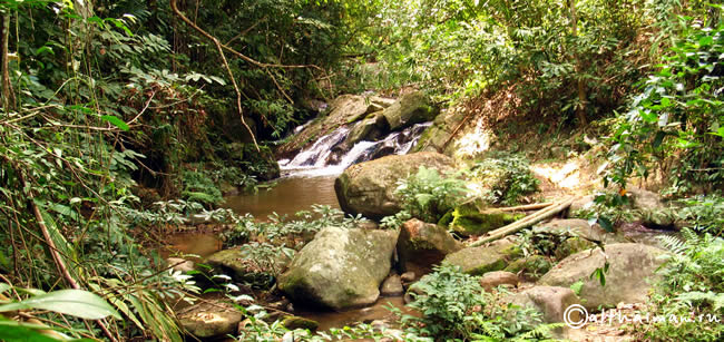 HUAY KAEW WATERFALL LAM NAM KOK NATIONAL PARK THAILAND CHIANG RAI ЧИАНГ РАЙ ЧАНГ РАЙ СЕВЕРНЫЙ ТАИЛАНД НАЦИОНАЛЬНЫЙ ПАРК ЛАМ НАМ КОК