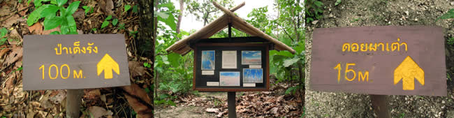 OB LUANG NATIONAL PARK THAILAND GUIDE CHIANGMAI_ОП ЛУАНГ НАЦИОНАЛЬНЫЙ ПАРК ТАИЛАНД ЧИАНГ МАЙ ЧАНГМЕЙ  ОТДЫХ КУРОРТЫ   