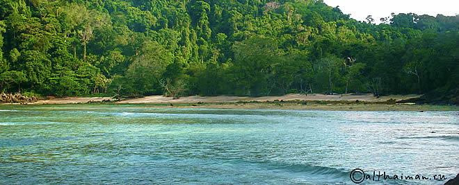 MU KO SURIN ISLANDS TAILAND_ОСТРОВА МУ КО СУРИН ТАИЛАНД