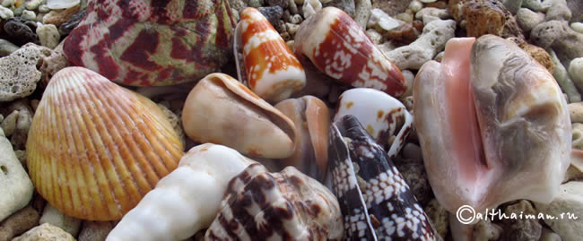 MU KO SURIN ISLANDS TAILAND_ОСТРОВА МУ КО СУРИН ТАИЛАНД