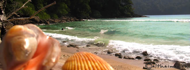 MU KO SURIN ISLANDS TAILAND_ОСТРОВА МУ КО СУРИН ТАИЛАНД