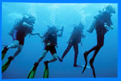Dive Schools in Koh Phangan