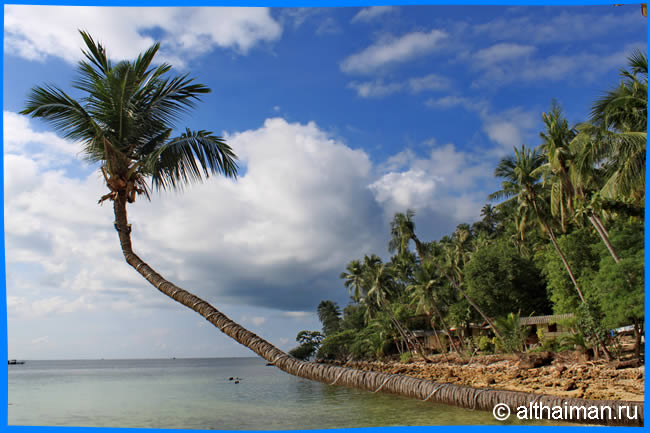 ОСТРОВ КО ПАНГАН _ КОХ ПХАНГАН ТАИЛАНД _ KOH PHANGAN ISLAND THAILAND 