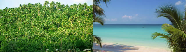 ОСТРОВ КО ПАНГАН _ КОХ ПХАНГАН ТАИЛАНД _ KOH PHANGAN ISLAND THAILAND 
