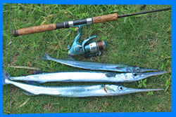 Fishing in Haad Yao 