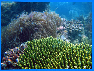 Haad  Mae Had  Beach Koh Phangan Ко Панган Тайланд