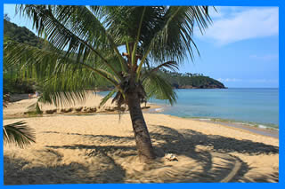 Haad  Mae Had  Beach Koh Phangan Ко Панган Тайланд
