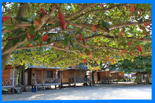 Haad  Mae Had  Beach Koh Phangan Ко Панган Тайланд