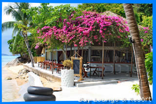 bay lounge resort koh phangan