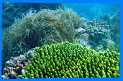 Ang Thon Marine National Park Topography