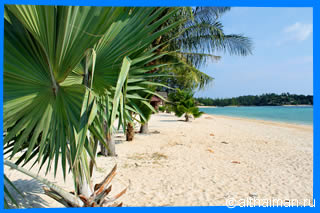 Ao Sri Thanu  beach Koh Phangan Ко Панган Тайланд