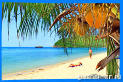 Mae Haad Beach Overview, Koh Phangan Beaches Guide