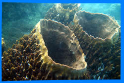 Ao Sri Thanu Beach 