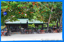 The Restaurant at Dreamland Resort