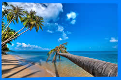Beyond Koh Phangan, Other Destinations in Thailand