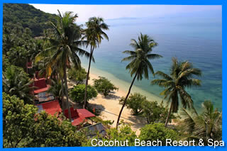 Cocohut beach resort & Spa Koh Phangan