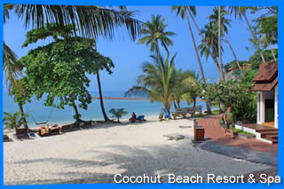 Cocohut beach resort & Spa Koh Phangan
