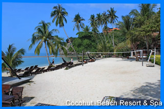 Cocohut beach resort & Spa Koh Phangan