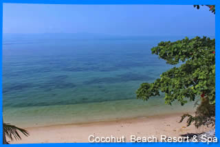 Cocohut beach resort & Spa Koh Phangan