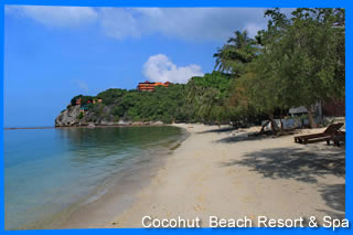 Cocohut beach resort & Spa Koh Phangan