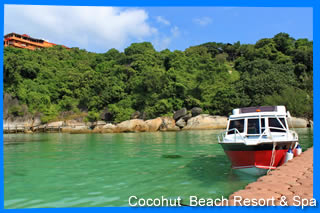 Cocohut beach resort & Spa Koh Phangan