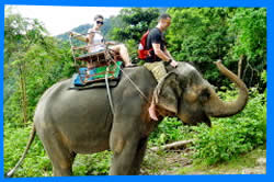 Maneerat Elephant - Haad Mae Haad