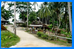 Baan Tai Elephant Trekking 
