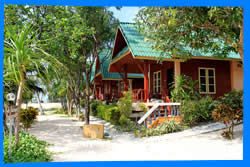 All Hotels in Haad Yuan