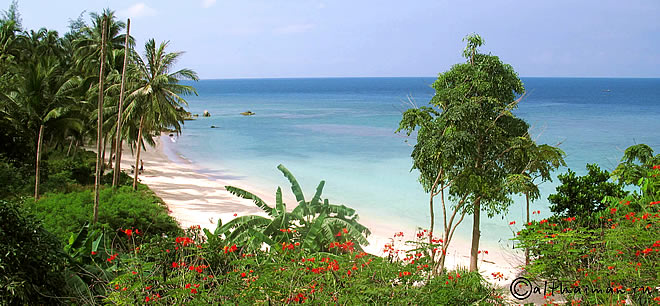 ОСТРОВ КО ПАНГАН _ КОХ ПХАНГАН ТАИЛАНД _KOPANGAN_ KOH PHANGAN ISLAND THAILAND 