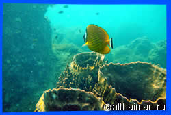 Haad Thian (West) Beach Activities
