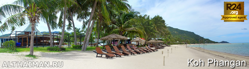Koh Phangan Beach Clubs, The Most Popular Beach Clubs in Koh Phangan