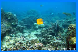 Haad Khom Beach Activities & Attractions 
