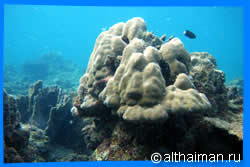 Haad Cao Phao Beach Activities