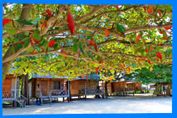 Haad Mae Haad Beach Hotels, Where to Stay in Haad Mae Haad Beach