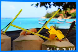 Haad Chao Phao Beach Restaurants & Food