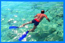 Best Places for Snorkeling in Koh Phangan, Koh Phangan Activities
