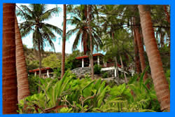 All Hotels in Haad Yuan