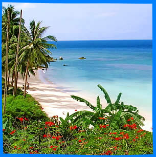 The Secret Beach