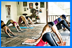 Yoga Retreat