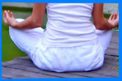 The Yoga Studio