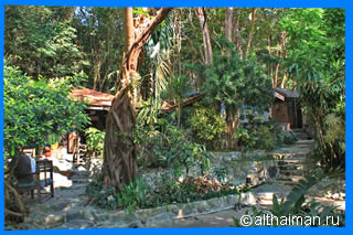 Ao Nuan beach Photos Koh Samet ko samed