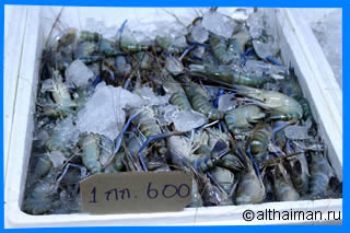 Koh Samet Food and Dining Photo Ko Samed