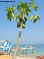 ОСТРОВ КО КОХ САМЕТ_ KOH SAMET KO SAMED ISLAND